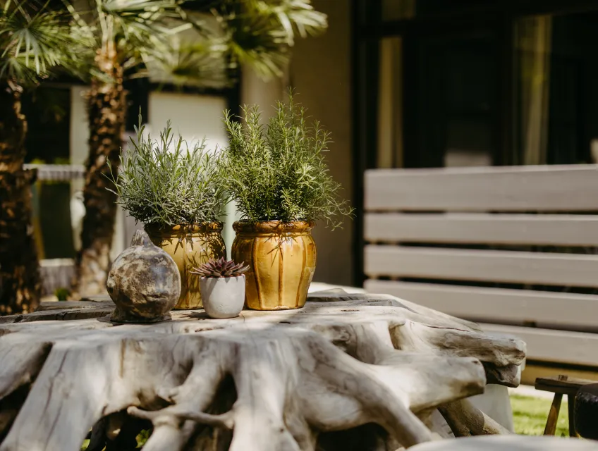 Geschiche Das Esel Rust