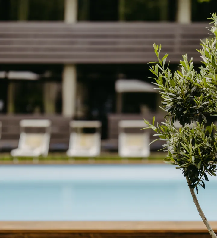 Hotel · Das Esel · Kleinod in Rust - Garten mit Pool