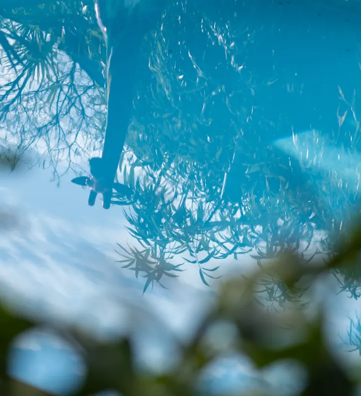 Hotel · Das Esel · Kleinod in Rust - Garten