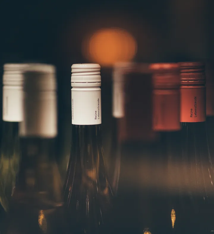 Hotel · Das Esel · Kleinod in Rust - burgenländische Weine