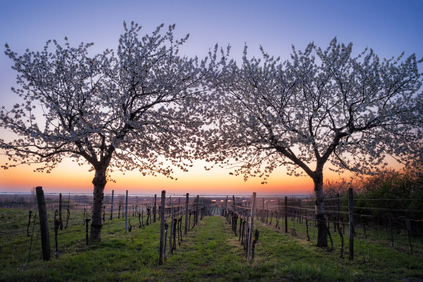 Fahrradrouten Burgenland Das ESEL Rust