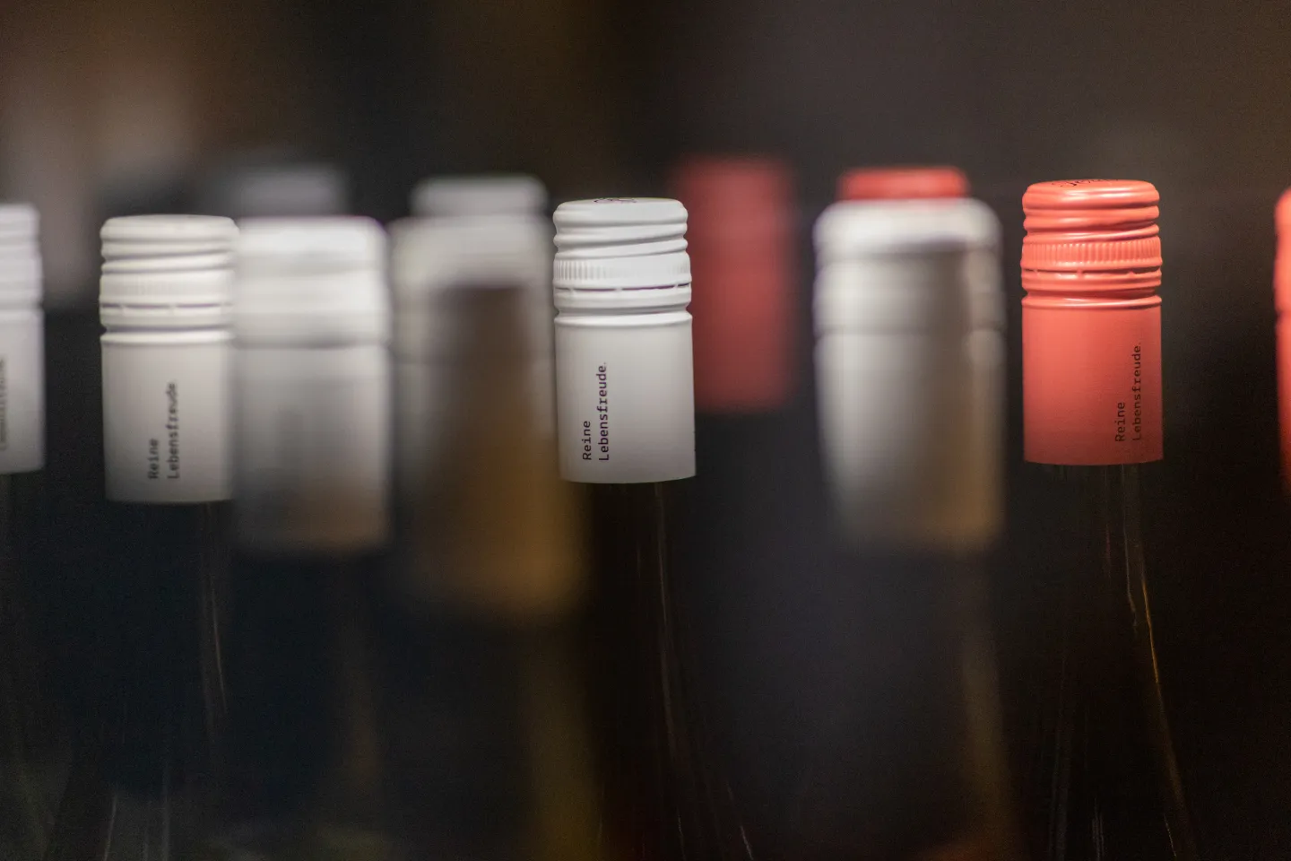 Wein Genuss Urlaub Burgenland Rust Neusiedler See Hotel Das Esel Zimmer