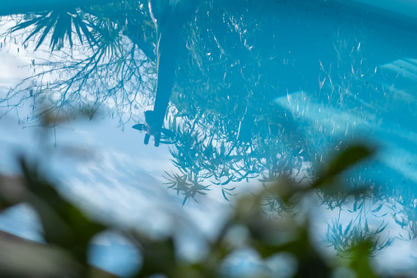 Das Esel Rust Garten