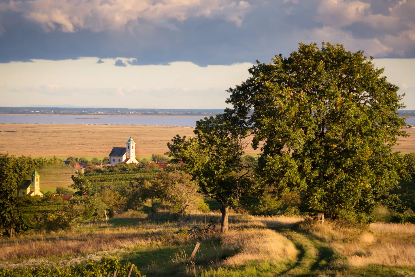 Neusiedler See Ausflüge Rust Burgenland